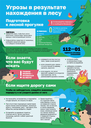 Риск для жизни и здоровья при нахождении в лесу Риск для жизни и здоровья при нахождении в лесу.